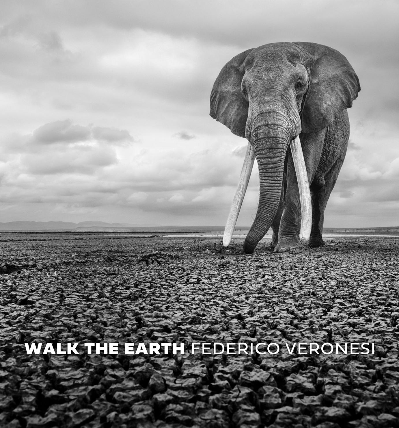 Federico Veronesi libro Walk the Earth