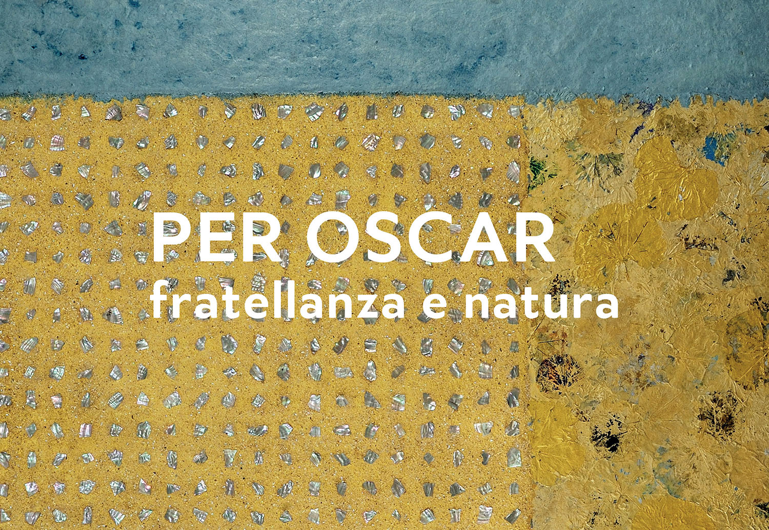VOLUME PIATTELLA b