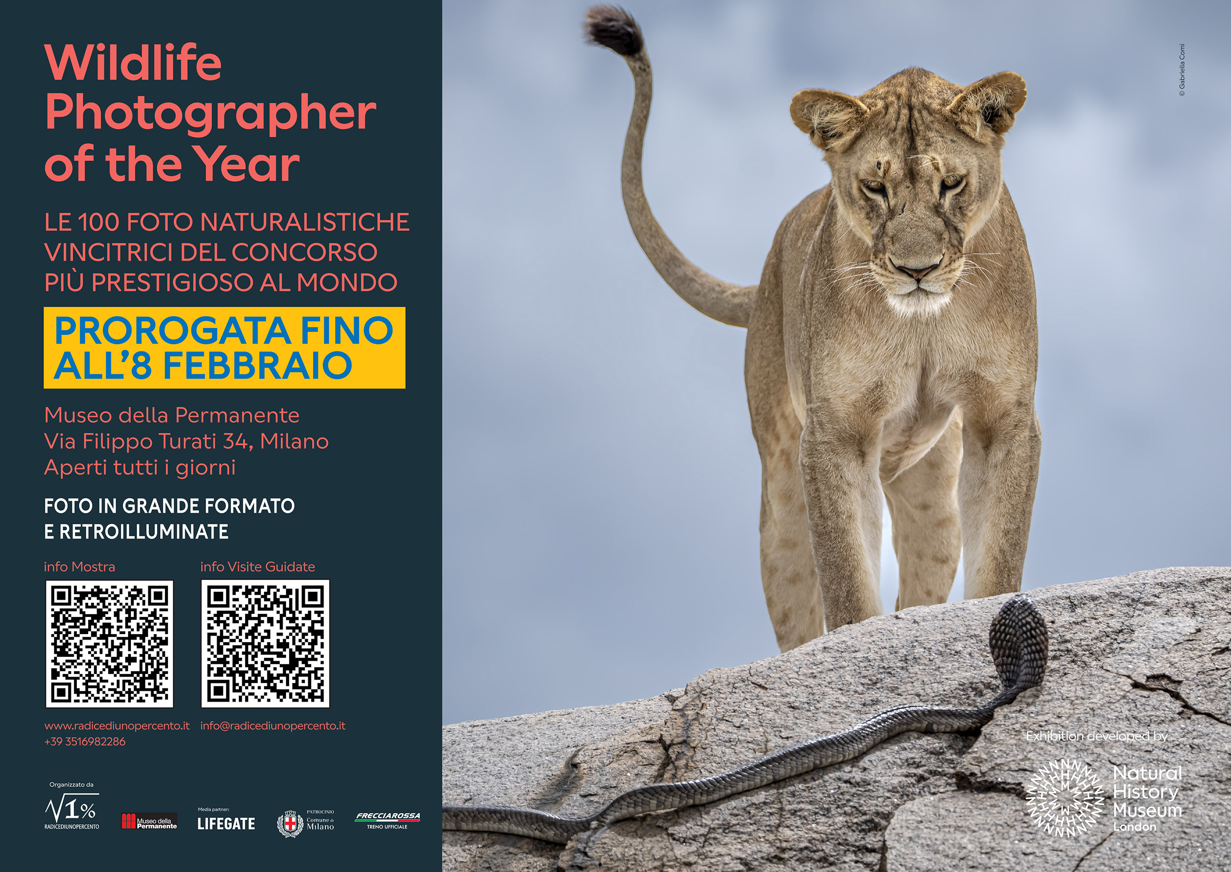 Proroga WPY Milano